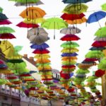 Come scegliere un'assicurazione online